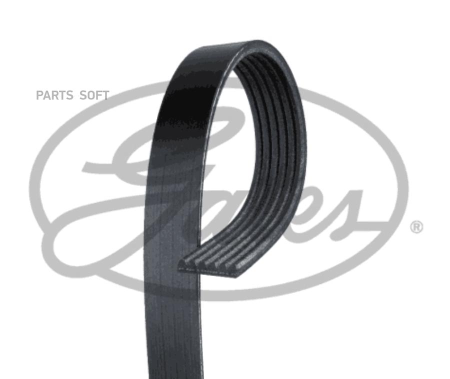 V-Ribbed Belts GATES 6PK1545