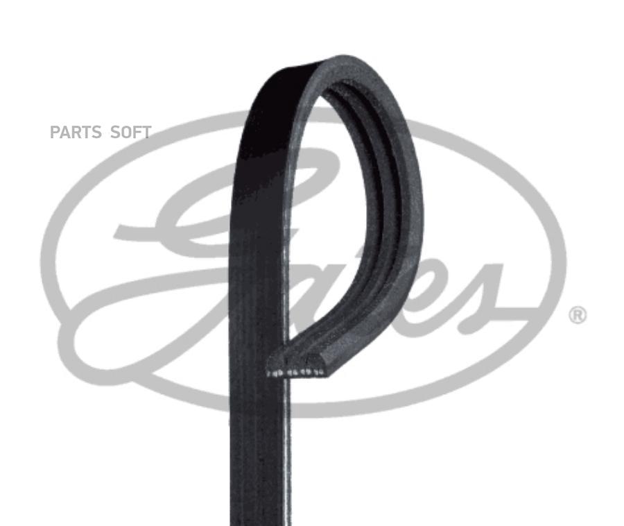 V-Ribbed Belts GATES 3PK790SF