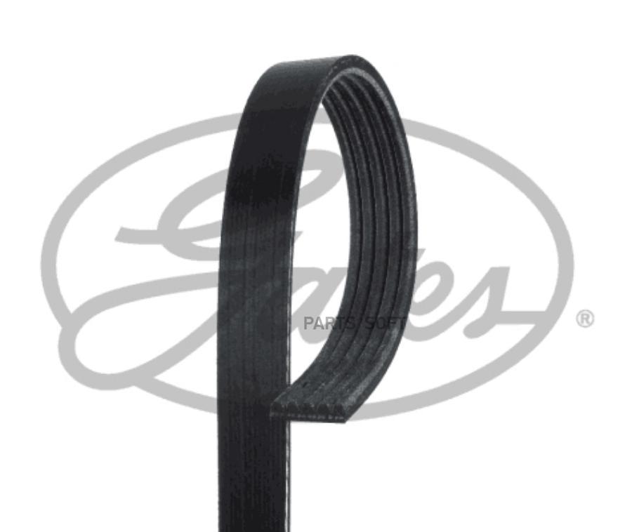 V-Ribbed Belts GATES 5PK1590