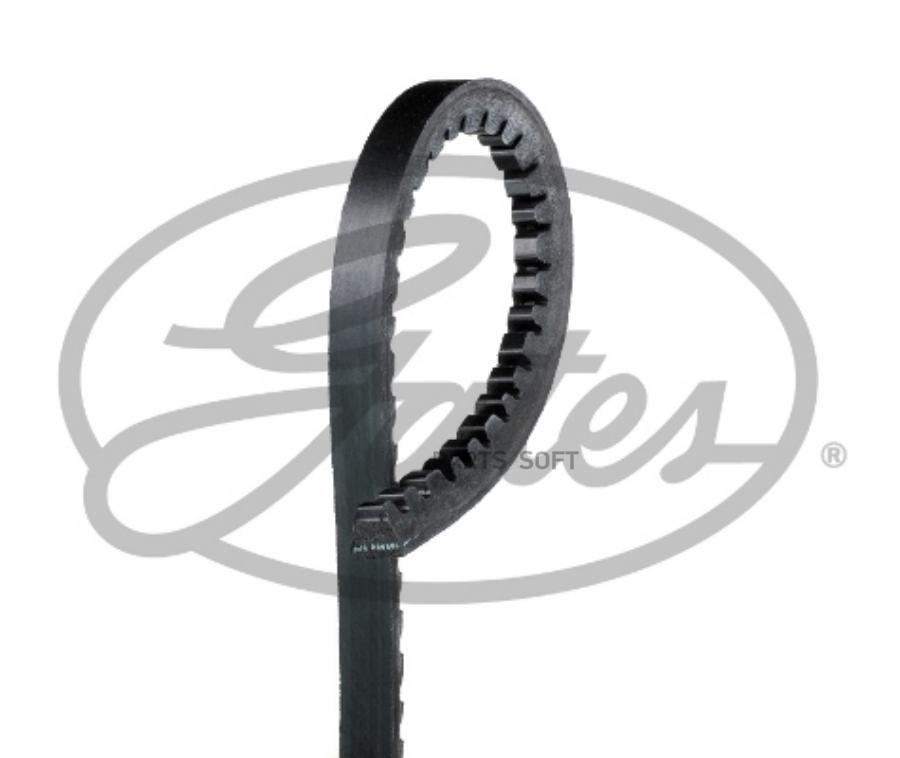 V-Belts GATES 6218MC