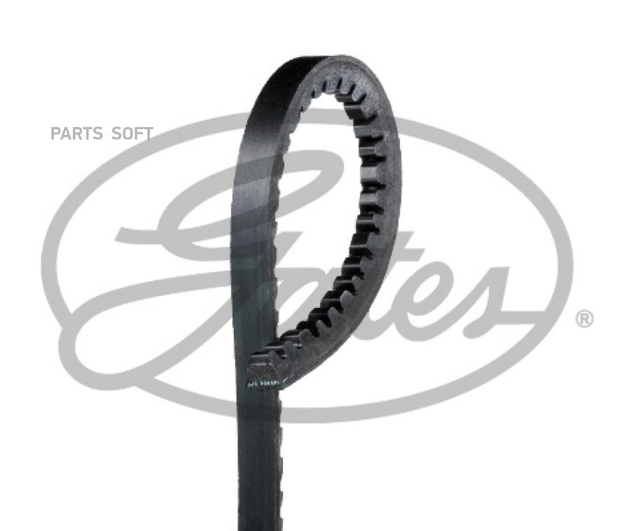 V-Belts GATES 6223MC