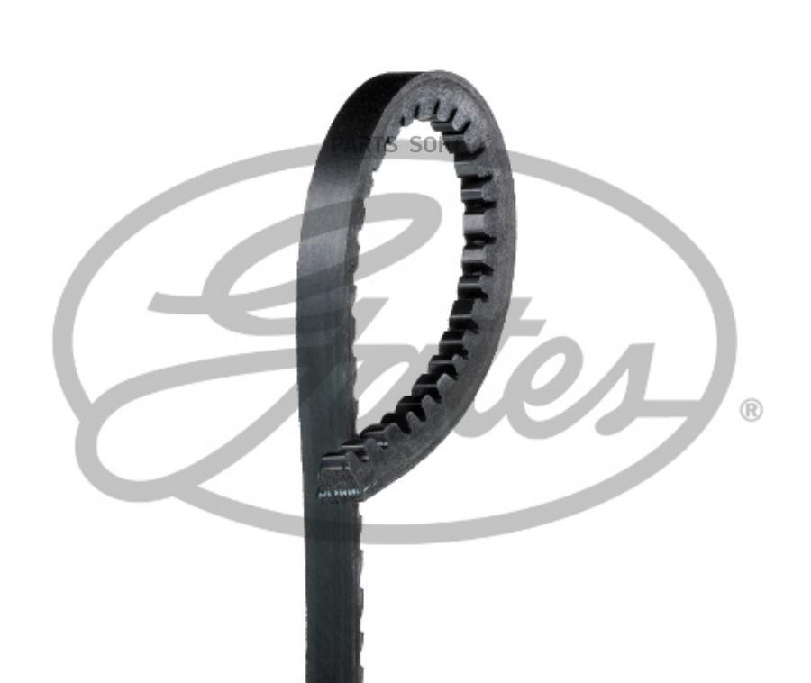 V-Belts GATES 6465MC