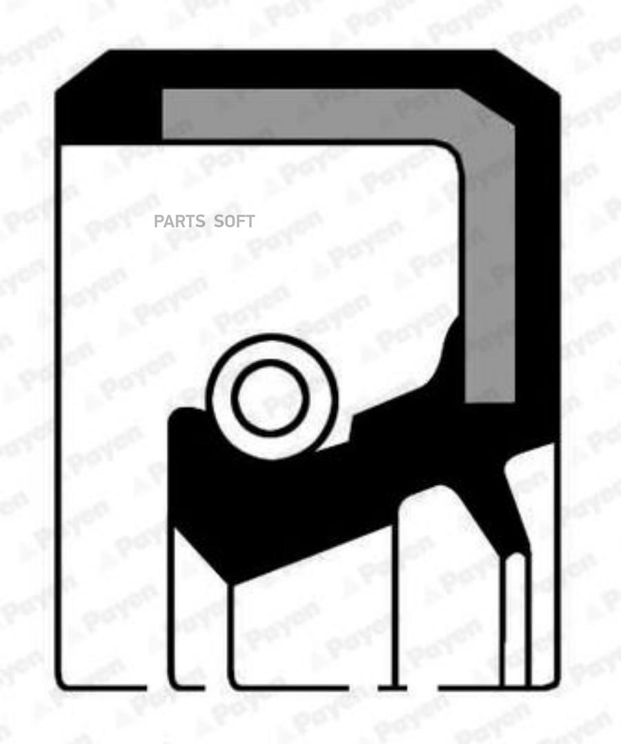 Multi-Purpose Seal Ring PAYEN NJ377