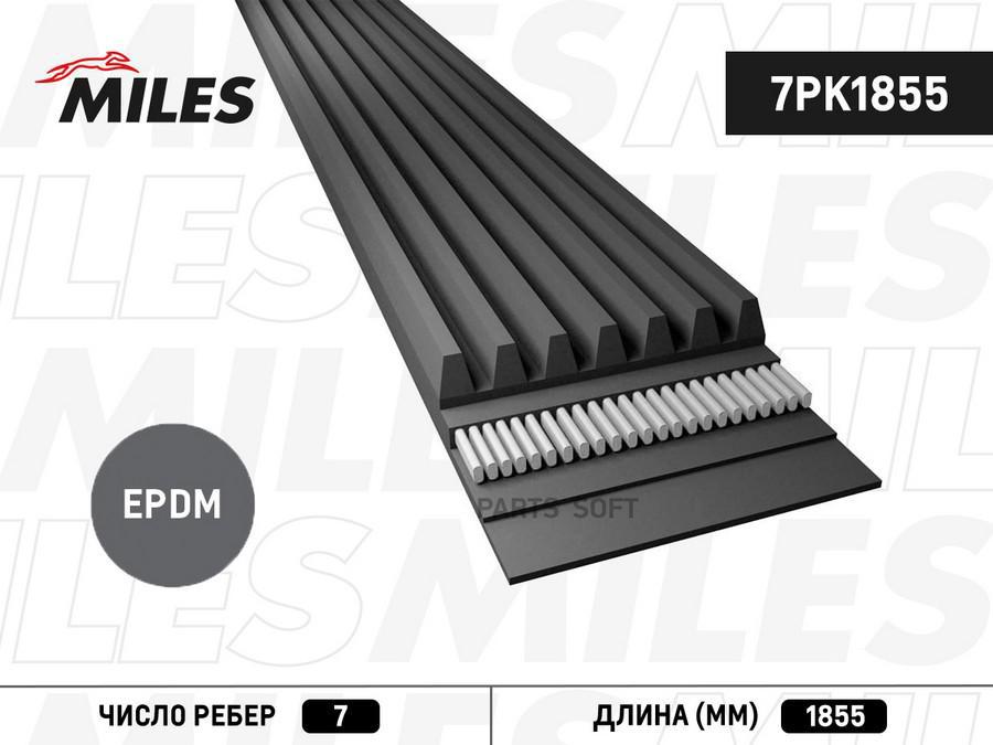 Ремень приводной поликлиновой MILES 7PK1855