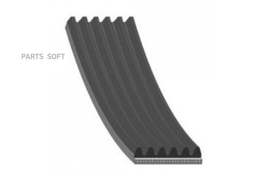 V-Ribbed Belts GATES 6PK1560