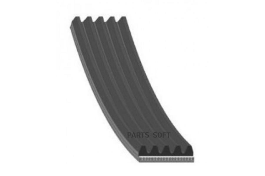 V-Ribbed Belts GATES 5PK820