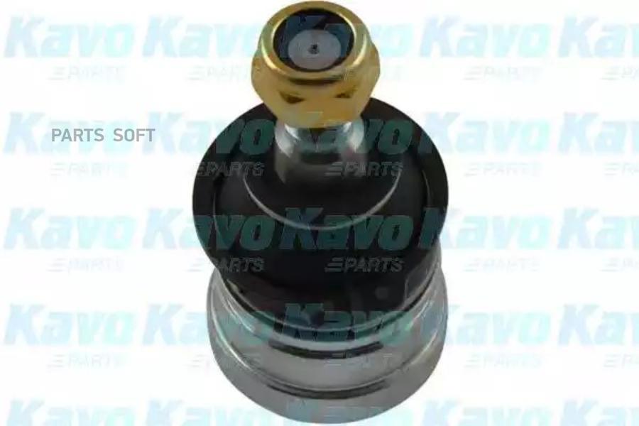 Несущий / направляющий шарнир KAVO PARTS SBJ5501