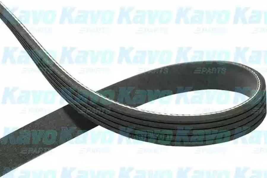 Поликлиновой ремень KAVO PARTS DMV3015