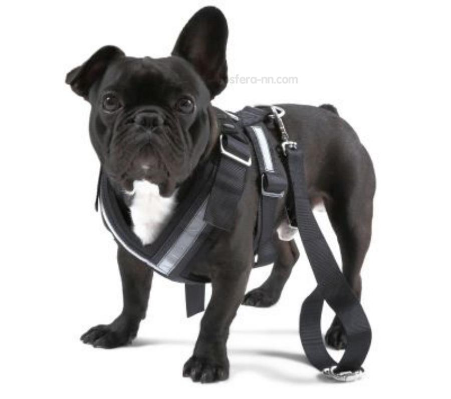 000019409A VAG Ремень  для собаки Skoda Dog Safety Belt размер S