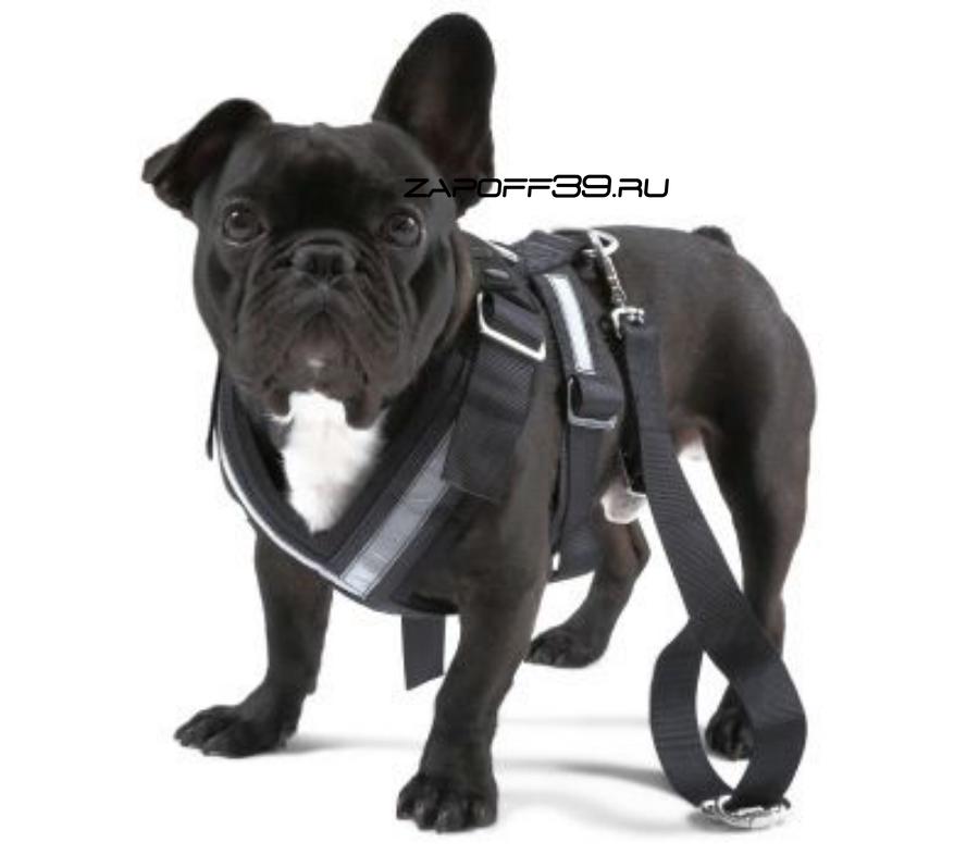 Ремень безопасности для собаки Skoda Dog Safety Belt размер L